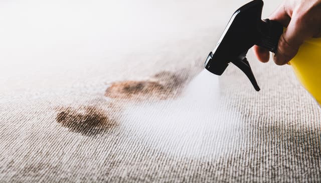 Carpet Stain Removal — Prime Carpet Care Moorestown, NJ